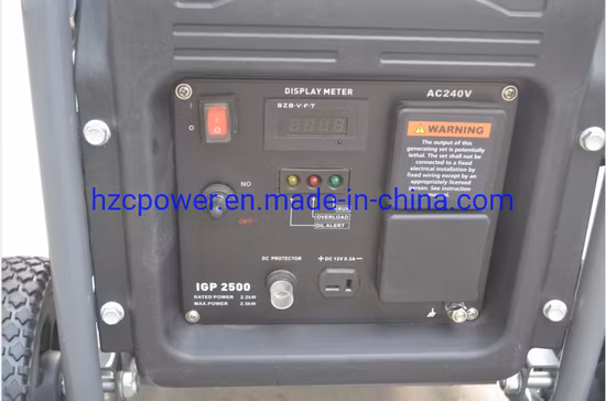 공장 직접 판매 3.5kw 휴대용 미니 가솔린 220V 4kw LPG 인버터 발전기 천연 가스 발전기